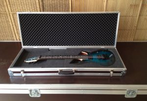 lgi_flycase_guitare