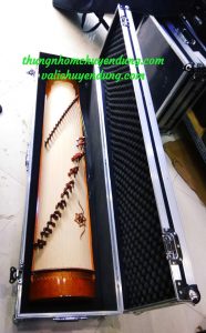 hộp chống sốc đựng nhạc cụ